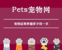 宠物店寄养猫多少钱一天