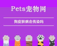 狗皮肤病会传染吗（狗皮肤病会传染吗,传染途径是什么）