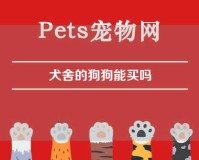 犬舍的狗狗能买吗（犬舍的狗狗能买吗安全吗）