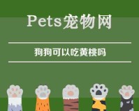 狗狗可以吃黄桃吗