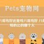 公八哥鸟好还是母八哥鸟好 八哥鸟母的公的哪个大