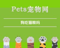 狗吃猫粮吗（能喂狗吃猫粮吗）