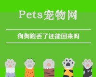 狗狗跑丢了还能回来吗（狗狗跑丢了还会回来吗）