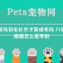 八哥鸟羽毛长齐才算成年吗 八哥鸟眼睛怎么看年龄