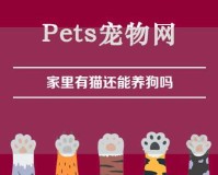 家里有猫还能养狗吗（家里有猫还能养狗吗为什么）