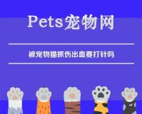 被宠物猫抓伤出血要打针吗