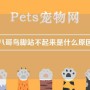 八哥鸟脚站不起来是什么原因