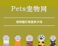 宠物猫打疫苗多少钱