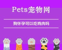 狗怀孕可以吃鸡肉吗（狗怀孕可以吃鸡肉吗?）