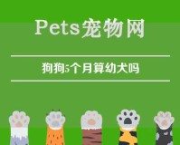 狗狗5个月算幼犬吗