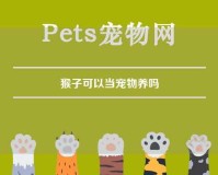 猴子可以当宠物养吗