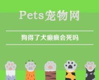 狗得了犬癫疯会死吗（狗得了犬癫疯会死吗图片）