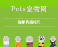 猫粮狗能吃吗（猫粮狗能吃吗?）