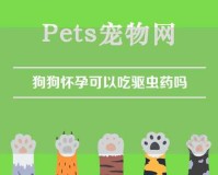 狗狗怀孕可以吃驱虫药吗（狗狗怀孕可以吃驱虫药吗?）