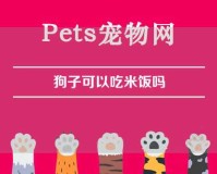 狗子可以吃米饭吗（狗子可以吃米饭吗）