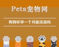 狗狗怀孕一个月能洗澡吗（狗狗怀孕一个月能洗澡吗冬天）