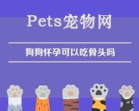 狗狗怀孕可以吃骨头吗（狗狗怀孕可以吃骨头吗?）