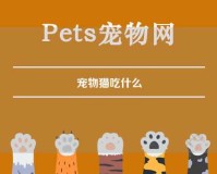 宠物猫吃什么