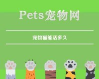 宠物猫能活多久