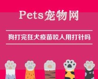 狗打完狂犬疫苗咬人用打针吗（狗抓了一下浅表皮损伤）