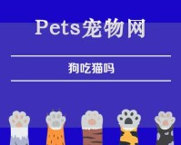 狗吃猫吗（狗吃猫吗?）