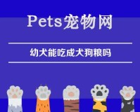 幼犬能吃成犬狗粮吗