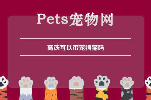 高铁可以带宠物猫吗