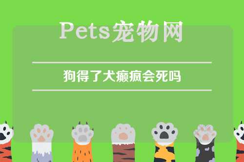 狗得了犬癫疯会死吗