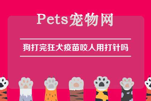 狗打完狂犬疫苗咬人用打针吗