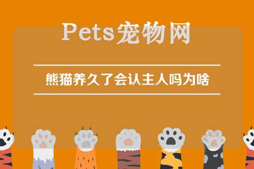 熊猫养久了会认主人吗为啥