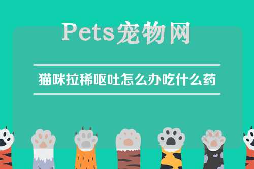 猫咪拉稀呕吐怎么办吃什么药