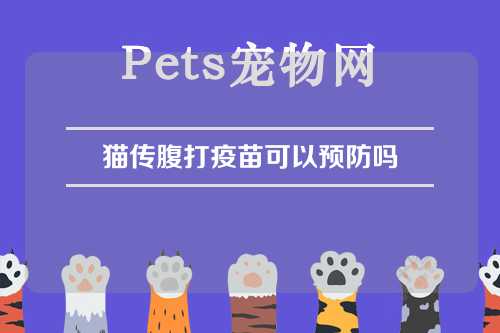 猫传腹打疫苗可以预防吗