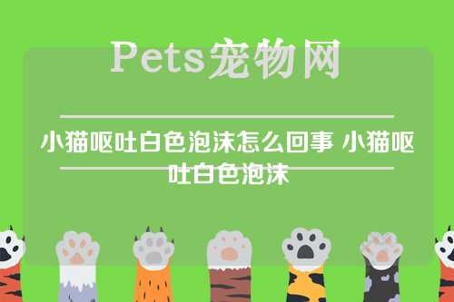 小猫呕吐白色泡沫怎么回事 小猫呕吐白色泡沫