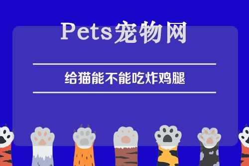 给猫能不能吃炸鸡腿