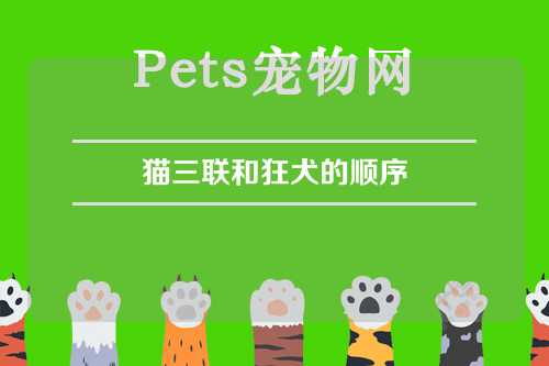 猫三联和狂犬的顺序