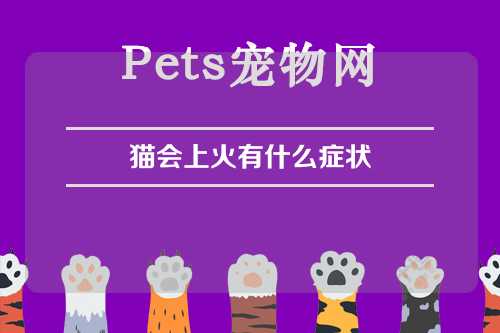 猫会上火有什么症状