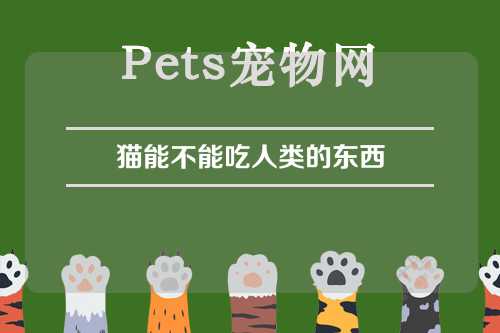 猫能不能吃人类的东西