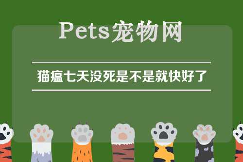 猫瘟七天没死是不是就快好了