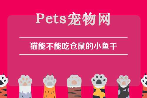 猫能不能吃仓鼠的小鱼干