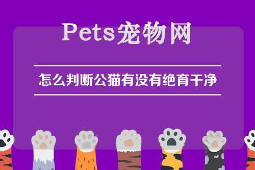 怎么判断公猫有没有绝育干净