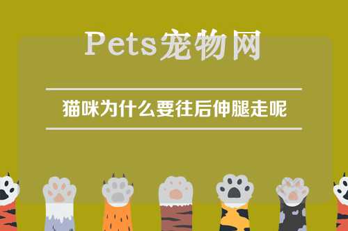 猫咪为什么要往后伸腿走呢