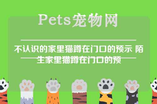 不认识的家里猫蹲在门口的预示 陌生家里猫蹲在门口的预