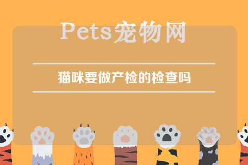 猫咪要做产检的检查吗