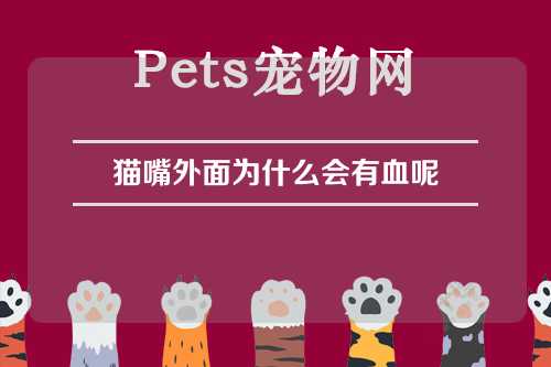 猫嘴外面为什么会有血呢