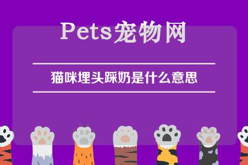 猫咪埋头踩奶是什么意思