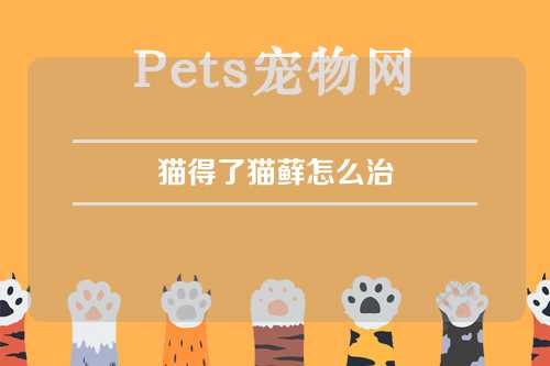 猫得了猫藓怎么治