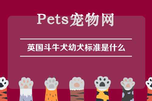 英国斗牛犬幼犬标准是什么