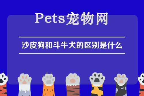 沙皮狗和斗牛犬的区别是什么