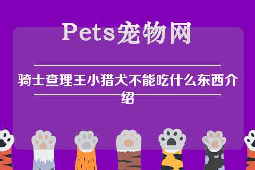 骑士查理王小猎犬不能吃什么东西介绍