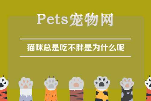 猫咪总是吃不胖是为什么呢